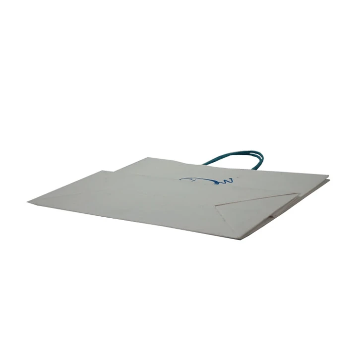 Kraft Bags